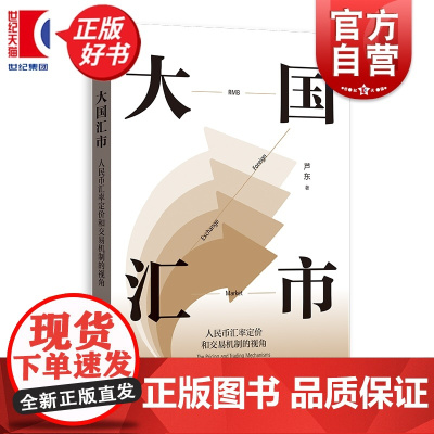 大国汇市:人民币汇率定价和交易机制的视角 芦东著格致出版社中国经济金融史图书