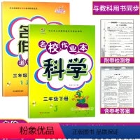 作业本套装2本[科学+道德法治] 三年级下 [正版]2024新版名校作业本3三年下册科学(教科版)道德与法治(人教版)练