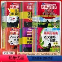 语文课外阅读训练(A版+B版) 小学一年级 [正版]2024新 小学生新黑马阅读语文课外阅读训练B版一二年级三四五六年级