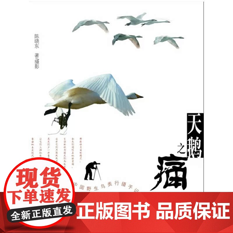 天鹅之痛:中国野生鸟类行摄手记