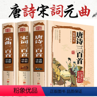 [正版]加厚精装大开本唐诗宋词元曲 图解详析彩图全解 传统文化中小学生教辅课外书书籍 青少年读物书籍图书