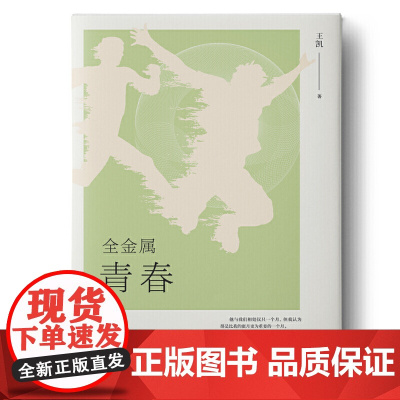 全金属青春 王凯 安徽文艺出版社 正版书籍