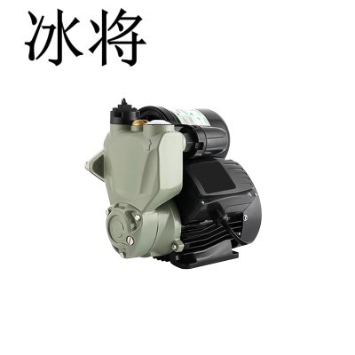 冰将 自动增压泵 智能管道自吸泵 1100W 台