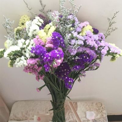 云南干花花束满天星干花鲜花批发勿忘我客厅摆件干花束真花