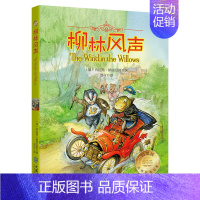 [正版]柳林风声非注音版 能打动孩子心灵的世界经典童话 中国儿童文学 7-12岁少儿中小学生课外阅读书籍教辅 亲子读物故
