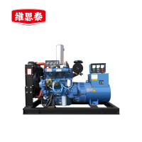 维思泰 柴油发电机组发电机 WST-30KW 台