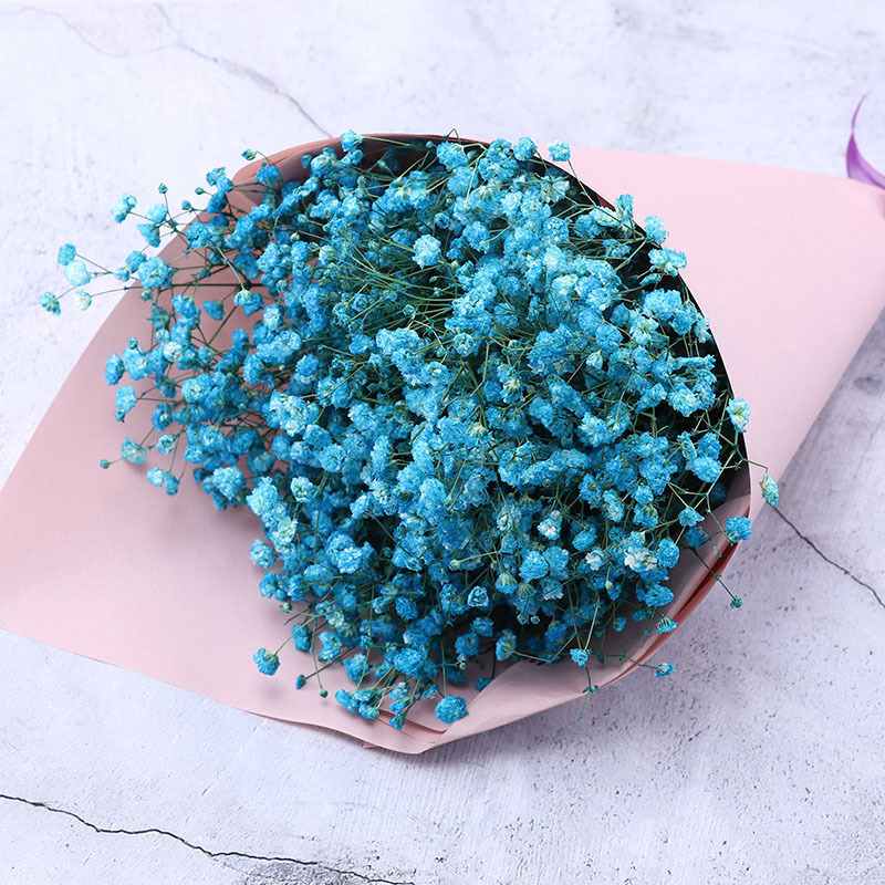 满天星干花束客厅摆设插花小清新装饰花-蓝色满天星一束