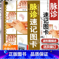 脉诊速记图卡 [正版] 脉诊速记图卡 中医速记图卡丛书脉诊脉经中医速记入门基础教程中医书籍搭脉诊一学就通自学把脉彩图手册