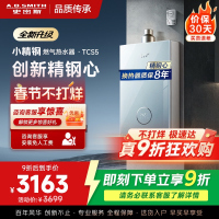 史密斯佳尼特[小精钢TCS5]16升精钢燃气热水器 国家补贴 JSQ31-TCS5 安全守护 持久恒温大水量 新品