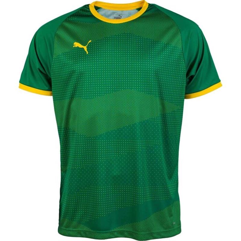 彪马(Puma)男款吸湿速干透气足球训练服PUMA Liga Graphic印花运