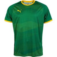 彪马(Puma)男款吸湿速干透气足球训练服PUMA Liga Graphic印花运