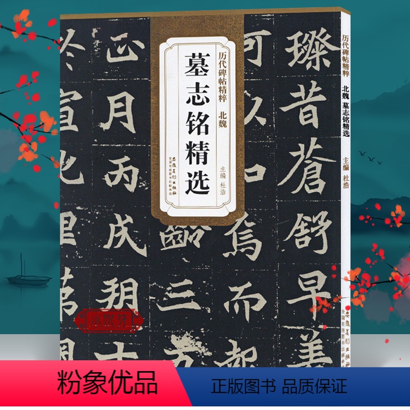 [正版]北魏墓志铭精选 崔敬邕/美人董氏/张黑女/元桢/元显俊/李壁/司马昞墓志铭文 历代碑帖精粹楷书毛笔书法字帖学生