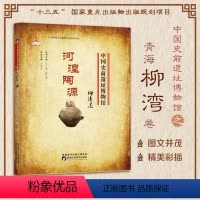 [正版]中国史前遗址博物馆 河湟陶源柳湾卷 人类历史文化遗产遗物遗迹新石器时代文化遗址考古发掘整理和研究馆藏文物资料展