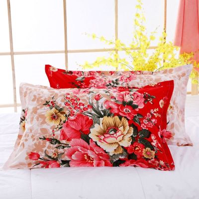 SleepyBear枕套枕头套一对装磨毛加大号加厚枕芯套单人学生情侣枕皮成人枕套