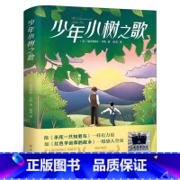 少年小树之歌 [正版]天使雕像 书新蕾出版社二年级三年级四年级五年级小学生必读课外书埃伦·拉斯金国际大奖小说系列儿童文学