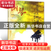 正版 指尖上的温柔:钢琴弹奏抒情歌曲 戴向辉 安徽文艺出版社 978