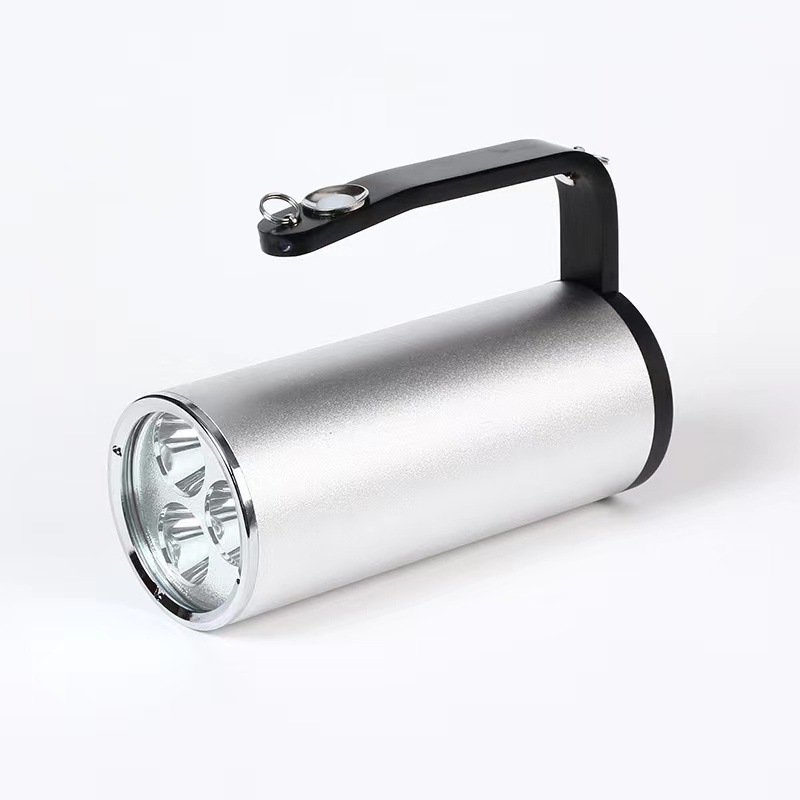RDZM 手提式防爆探照灯 RJW7102A LED强光工作灯 配背带 套