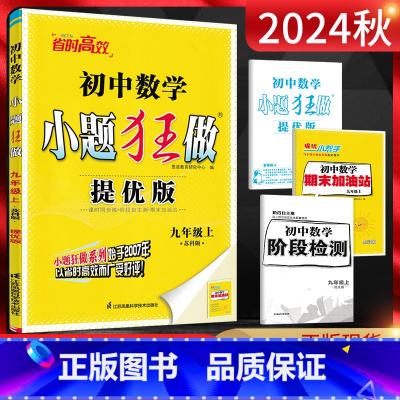 数学 九年级上 [正版]2024秋恩波教育 提优版初中数学九年级上册 苏科版SK 初三9年级上学期江苏版 同步课时训练作