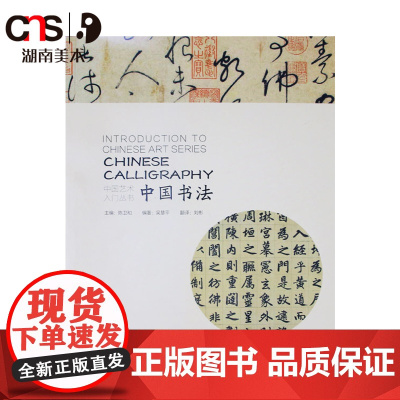 正版 中国艺术入门丛书 中国书法 书法入门书籍 湖南美术出版社店