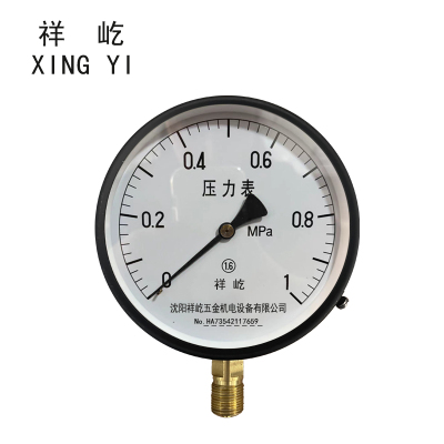 祥屹 压力表 Y150 0-1.0Mpa 块
