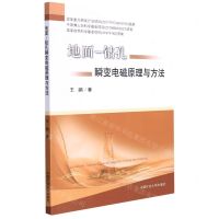 [N]地面-钻孔瞬变电磁原理与方法-9787564651145