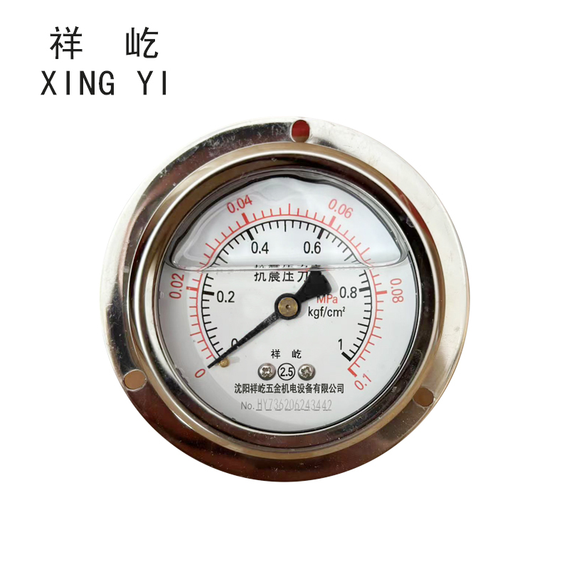 祥屹+耐震压力表轴向带边检测定制型+YTN60ZT+块