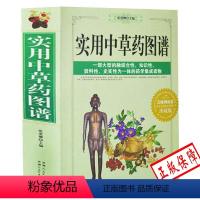 [正版]实用中草药图谱 中医大全书入门 400种常用中药速认图鉴 药材