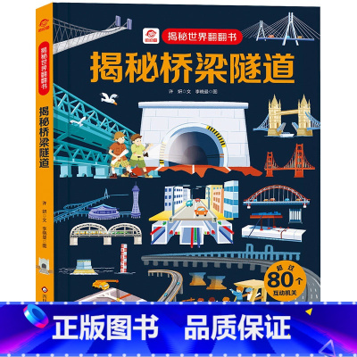揭秘桥梁隧道 [正版]书店揭秘世界系列儿童翻翻书3-6岁启蒙绘本洞洞书3d立体书揭秘夜晚健康建筑病毒细菌大树火山工厂发明