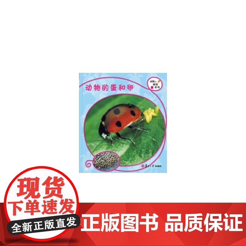 复旦版科学绘本·动物的秘密系列:动物的蛋和卵(8本美丽的儿童科普书,涵括孩子的动物基础知识,让孩子发现自然之美,开启