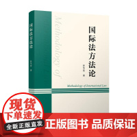 国际法方法论