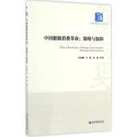 正版新书]中国能源消费革命乔海曙,李颖,夏越 等 著978750963491