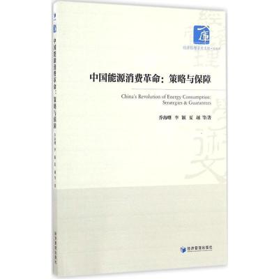 正版新书]中国能源消费革命乔海曙,李颖,夏越 等 著978750963491