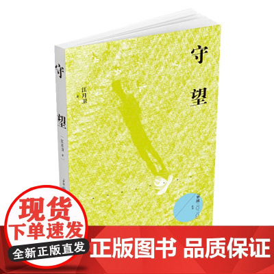 守望(梦圆二〇二〇丛书)