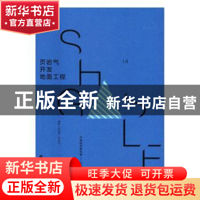 正版 页岩气开发地面工程 陈晓勤,李金洋编著 华东理工大学出版