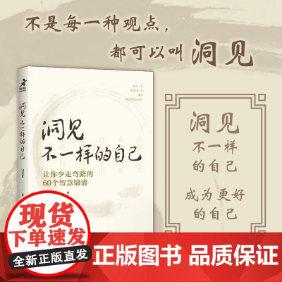 洞见不一样的自己 让你少走弯路的60个智慧锦囊 洞见君 著 成为更好的自己 励志
