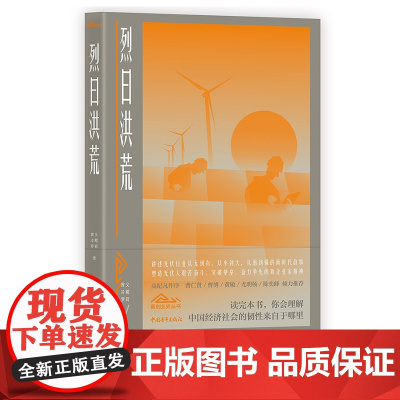 烈日洪荒 光伏产业奋斗史 新时代创业史文库 中国青年出版社