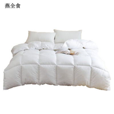 燕全食 棉被 羽丝绒 200*230cm*2.5kg YQSA5/条