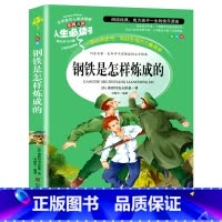 [正版]钢铁是怎样炼成的 书原著 小学生课外阅读书籍三四五六年级青少年儿童文学世界经典名著初中读物完整版单本图书