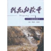 正版新书]殊死的较量——长征战役战斗李世明,田修思 主编9787