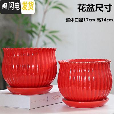 三维工匠红色花盆陶瓷大号家用中国风带托盘创意绿萝吊兰多肉花盆 207(尊贵红)大号两个 大花盆容器