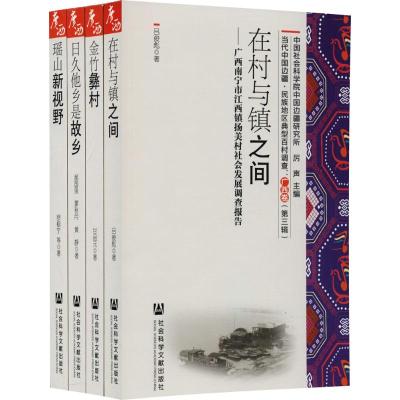 当代中国边疆·民族地区典型百村调查