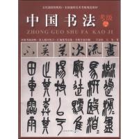 音像中国书法考级7-9级吕金柱王玺