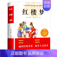 红楼梦 [正版]儒林外史五年级下册课外书必读 小学生版吴敬梓原著白话文无障碍阅读老师的青少年儿童文学经典书籍四至六年级
