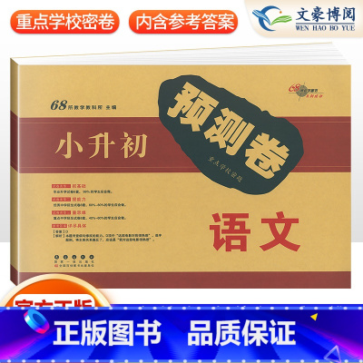 小升初语文试卷 小学升初中 [正版]2023新版小升初真题卷重点学校名校密题小升初预测卷押题卷语文数学英语全套3本小学升