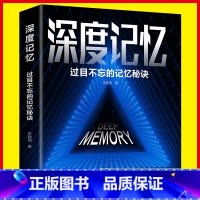 [正版]深度记忆:过目不忘的记忆秘诀 突破你的记忆极限 就是让你记得住 轻松牢记海量信息 看完就能用一辈子的思维记忆畅