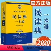[正版]民法典一本通(2020)中国法制出版社 法律一本通系列 以法释法解读实用