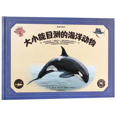 正版新书]新书--(精装绘本)动物大百科:大小能目测的海洋动物(