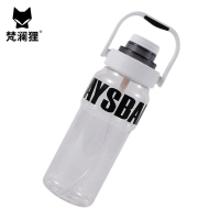 梵澜狸运动杯子H5 个