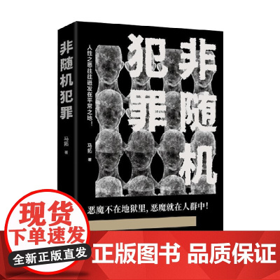 非随机犯罪 马拓 著 小说