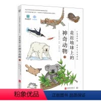 [正版] 小象科学课系列 走近地球上的神奇动物下 中国孩子愿意读看得懂的原创书籍 儿童青少年科普书籍书